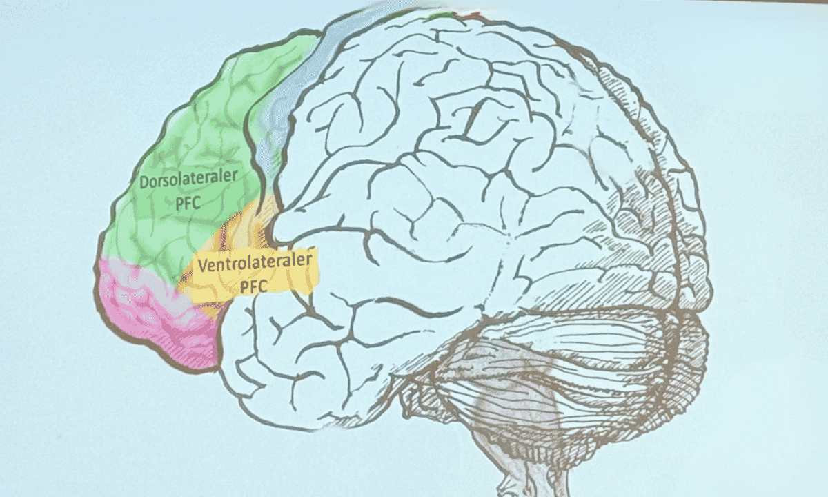 Neurodiversität